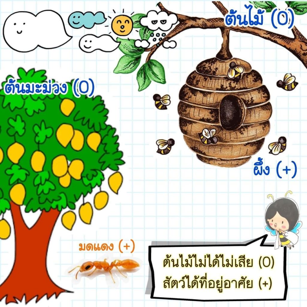 FB IMG 1534434631828