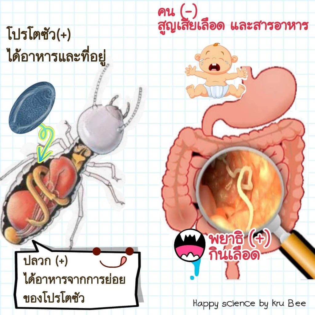 FB IMG 1534434634919