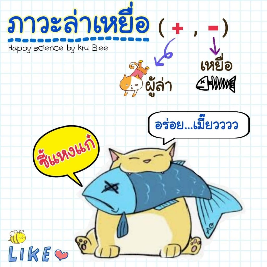 FB IMG 1534434645552