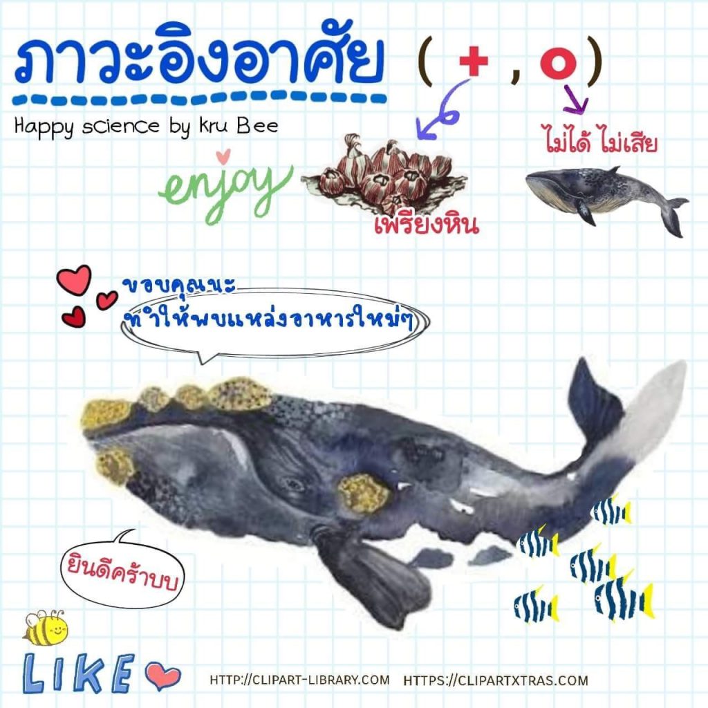 FB IMG 1534434648883