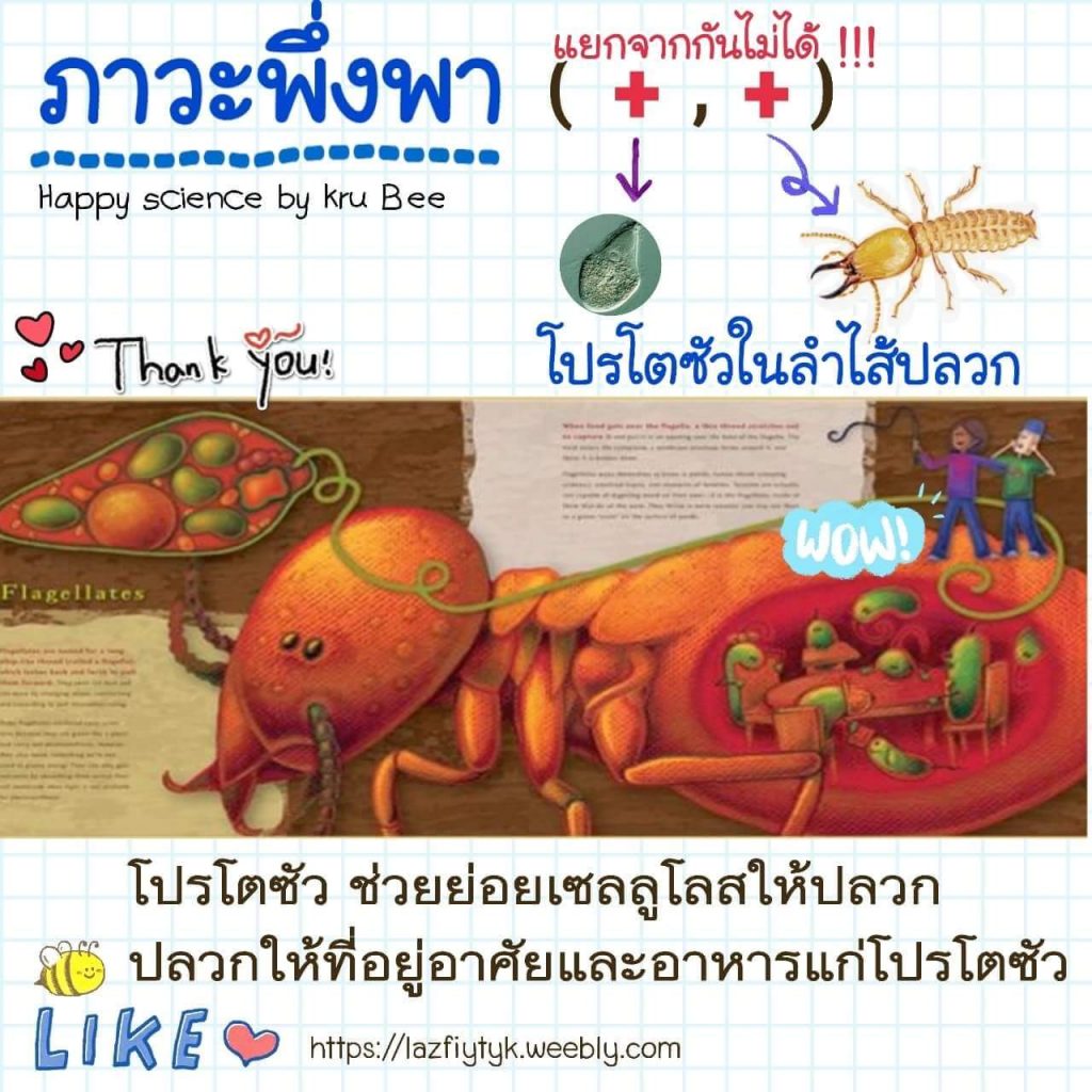 FB IMG 1534434651240