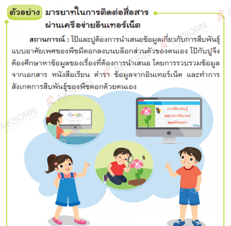 My Image 6