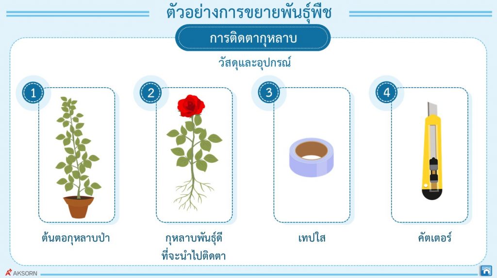 สไลด์13
