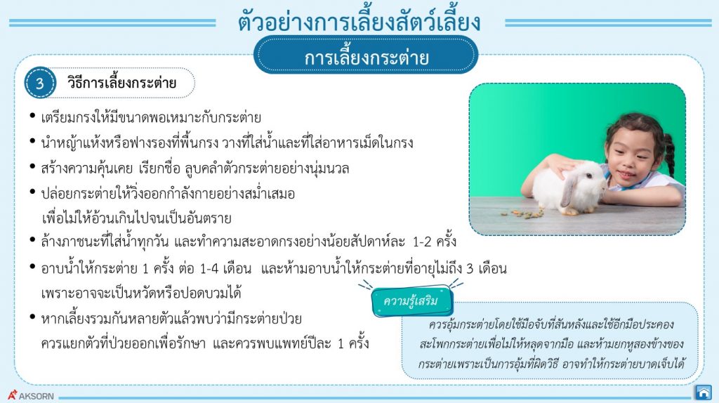 สไลด์29