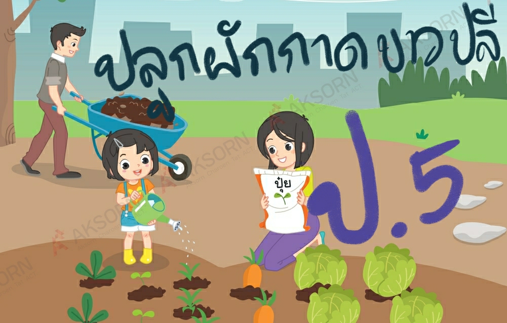 การปลูกผักกาดขาวปลี 2 Screenshot 20201224 210304 Drive