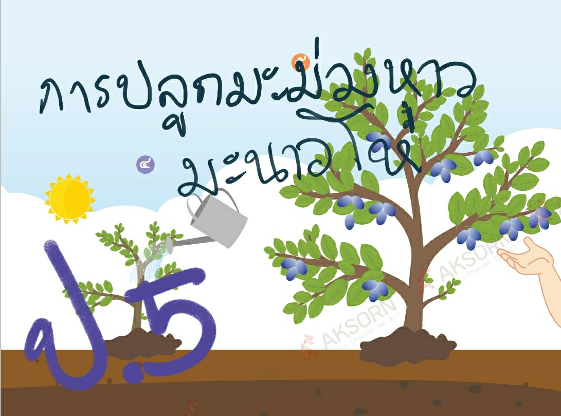 การปลูกมะม่วงหาวมะนาวโห่ 1 Screenshot 20201224 213816 Drive