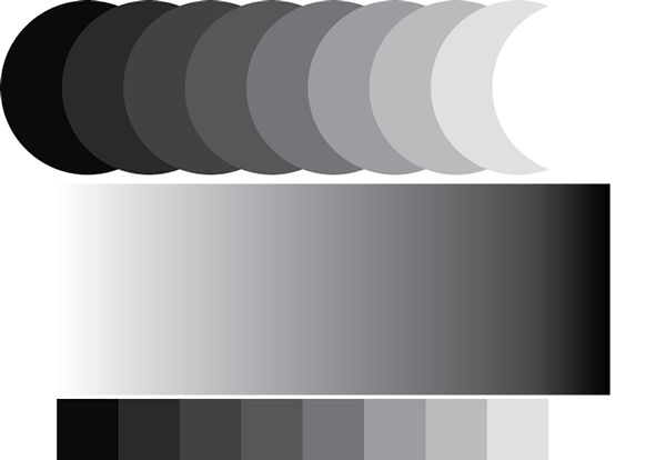 ระบบสีในงานกราฟิก ป.5 8 ระบบสี Grayscale