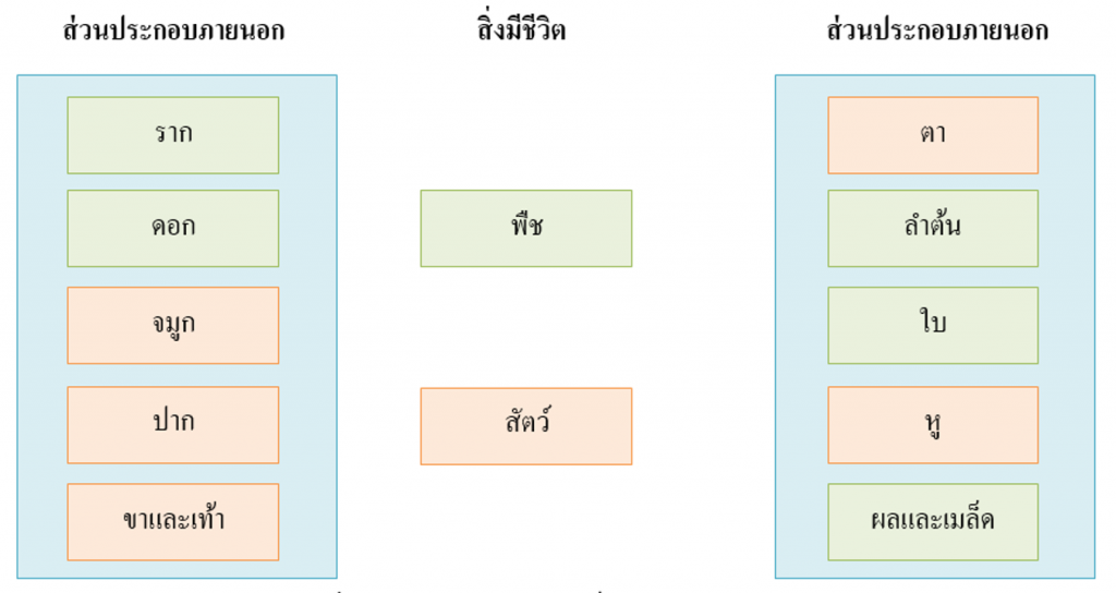 รูปภาพ1 3