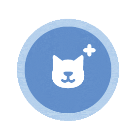 การเขียนโปรแกรมตัวละครเปลี่ยนท่าทาง 3 scratch