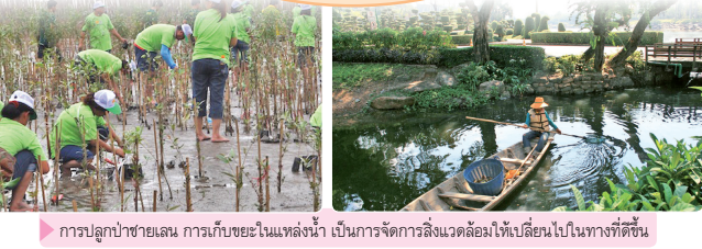 การจัดการสิ่งแวดล้อมในจังหวัด 3 image 20
