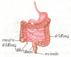 page13 clip image002