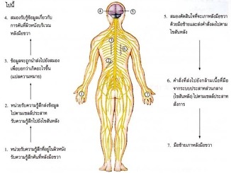 page14 clip image002 0002