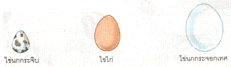 ระบบสืบพันธุ์ 4 page6 clip image004