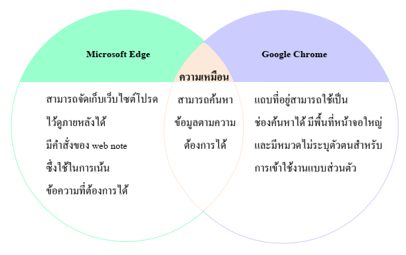 การใช้อินเทอร์เน็ต 7 image 309