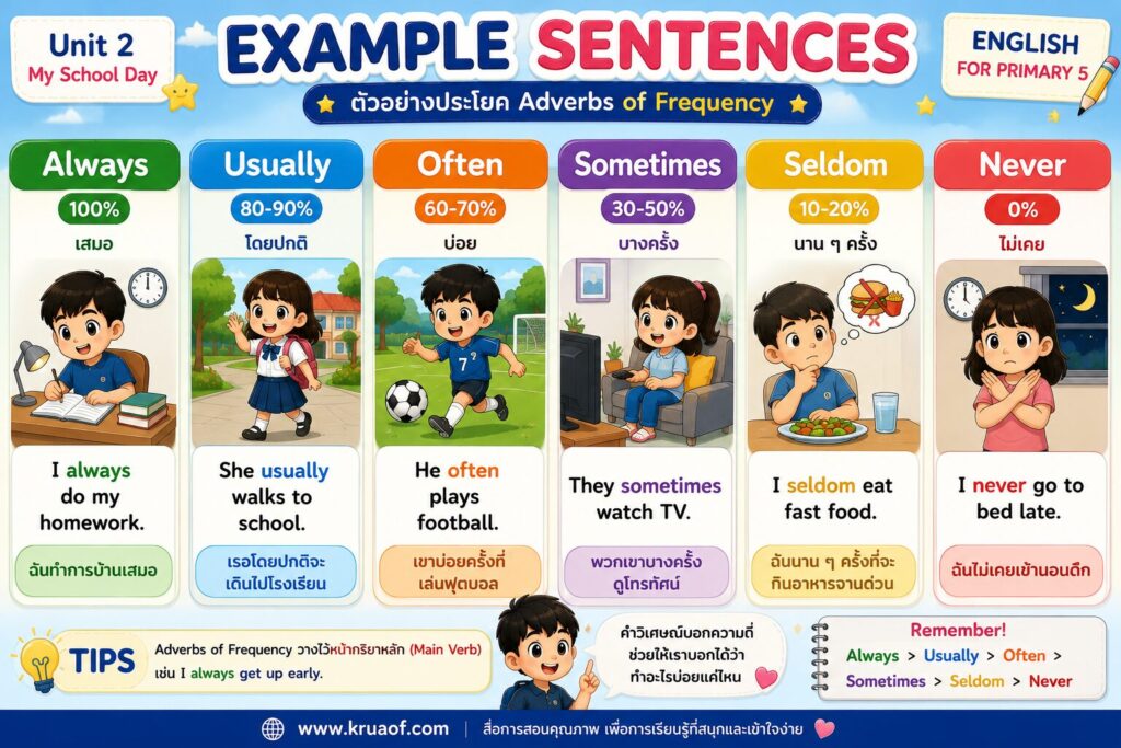 Adverbs of Frequency ป.5 | Always, Usually, Sometimes, Never พร้อมตัวอย่างประโยคและแบบฝึกหัด 3 Example Adverbs of Frequency