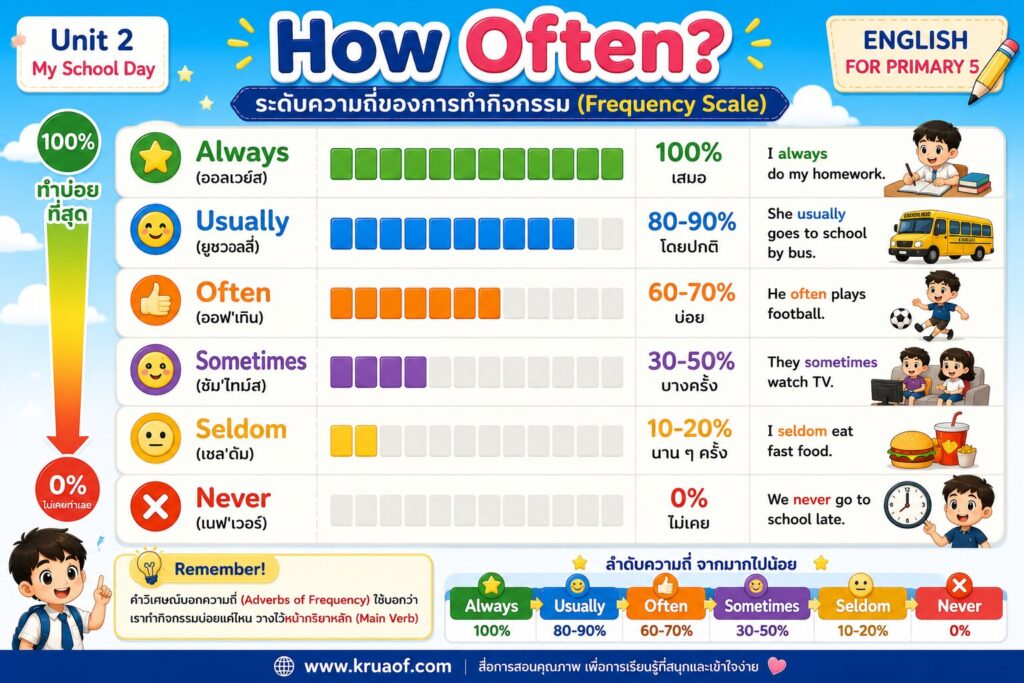 Adverbs of Frequency ป.5 | Always, Usually, Sometimes, Never พร้อมตัวอย่างประโยคและแบบฝึกหัด 2 How Often Adverbs of Frequency