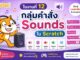 ใบงานที่ 12 กลุ่มคำสั่ง Sound