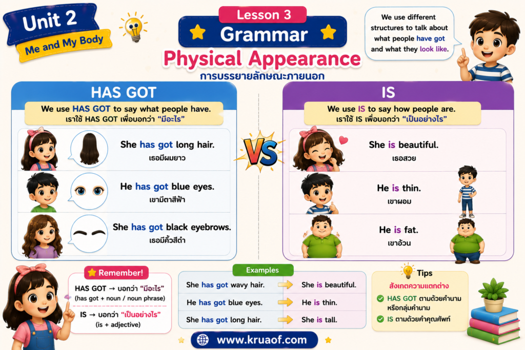 Lesson 3: Physical Appearance 2 ChatGPT Image 30 ส.ค. 2569 14 15 53