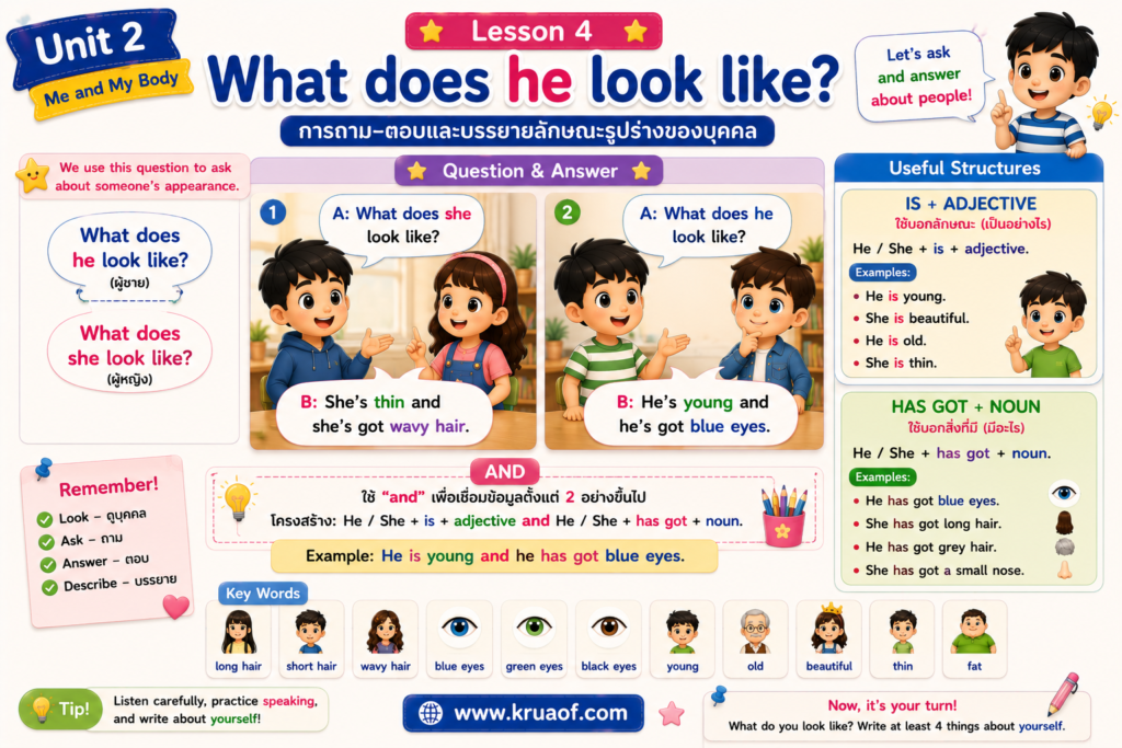 Lesson 4: What does he look like? 2 ChatGPT Image 30 ส.ค. 2569 14 41 37