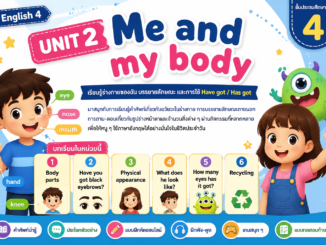 Body Parts ภาษาอังกฤษ ป.4 4 ChatGPT Image 9 ส.ค. 2569 13 56 46