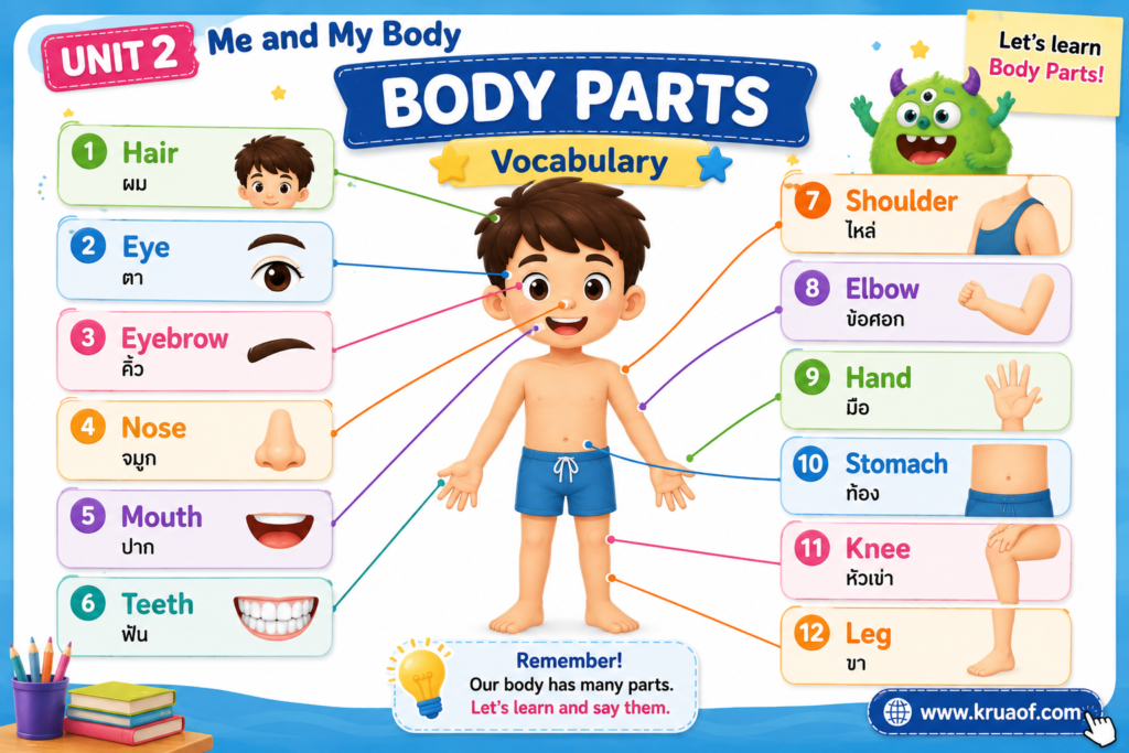 Unit 2 Me and My Body ภาษาอังกฤษ ป.4 1 ChatGPT Image 9 ส.ค. 2569 15 06 40