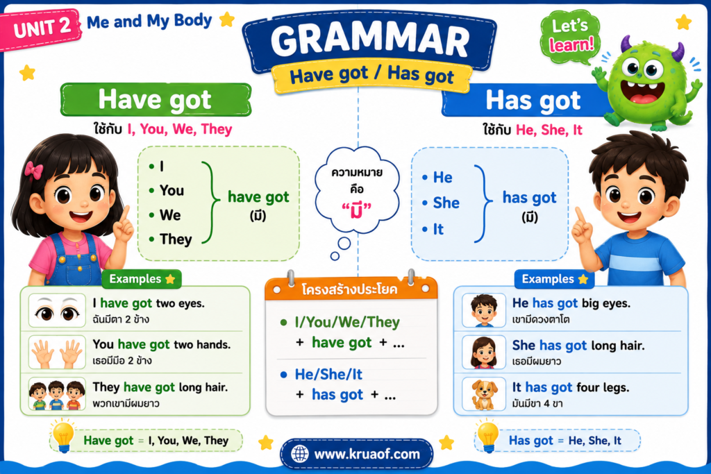 Body Parts ภาษาอังกฤษ ป.4 2 ChatGPT Image 9 ส.ค. 2569 15 06 44